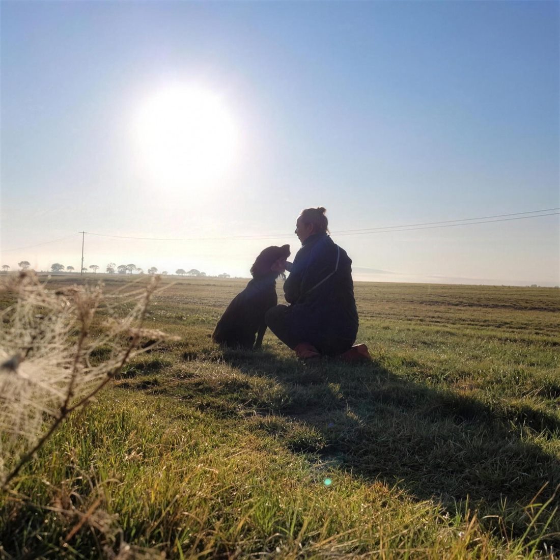 Grit Siebert kniet mit ihrem Hund auf einem Feld bei Sonnenaufgang